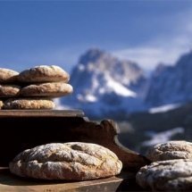 brot - pane