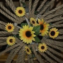 sonnenblumen - girasoli